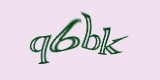 Защитный код