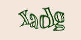 Защитный код