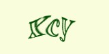 Защитный код